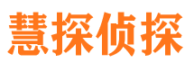 连城市侦探